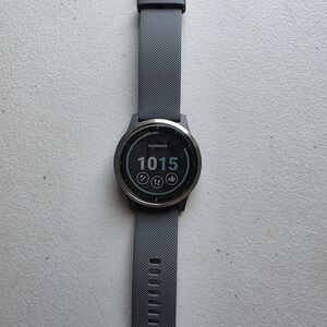 Garmin Gray Smartwatch